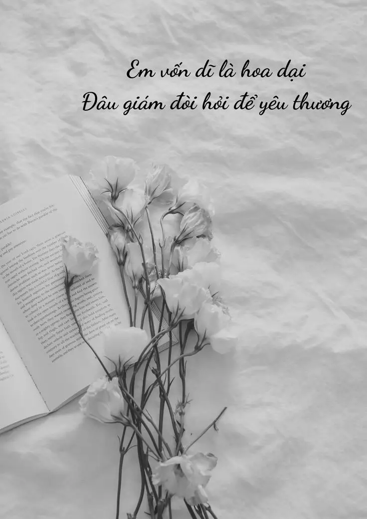 Avatar Chia Buồn Hoa Sen Trắng Đám Tang: Hình Ảnh Tôn Kính và Đẹp Đẽ