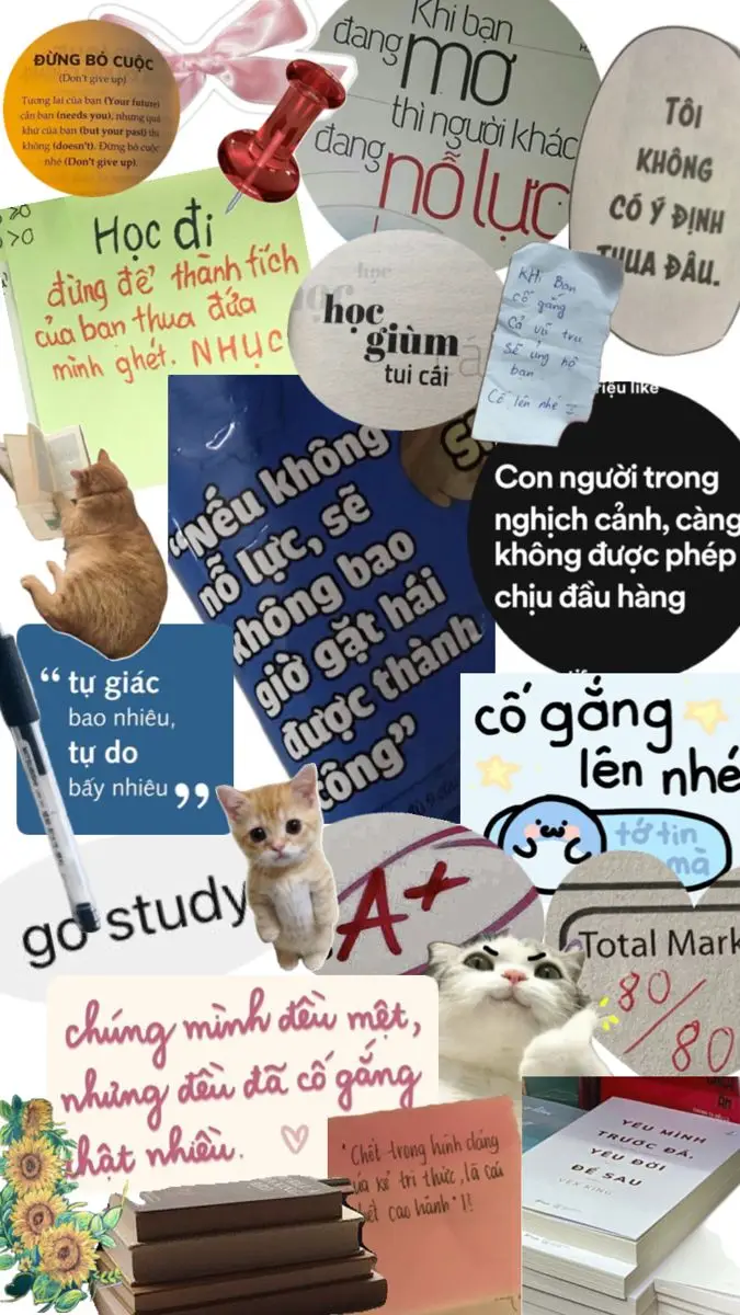 Hình nền ảnh ôn thi cute: 50 Hình nền tạo động lực cho mùa thi