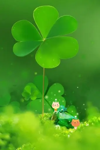 Hình nền cỏ 4 lá may mắn avatar đẹp