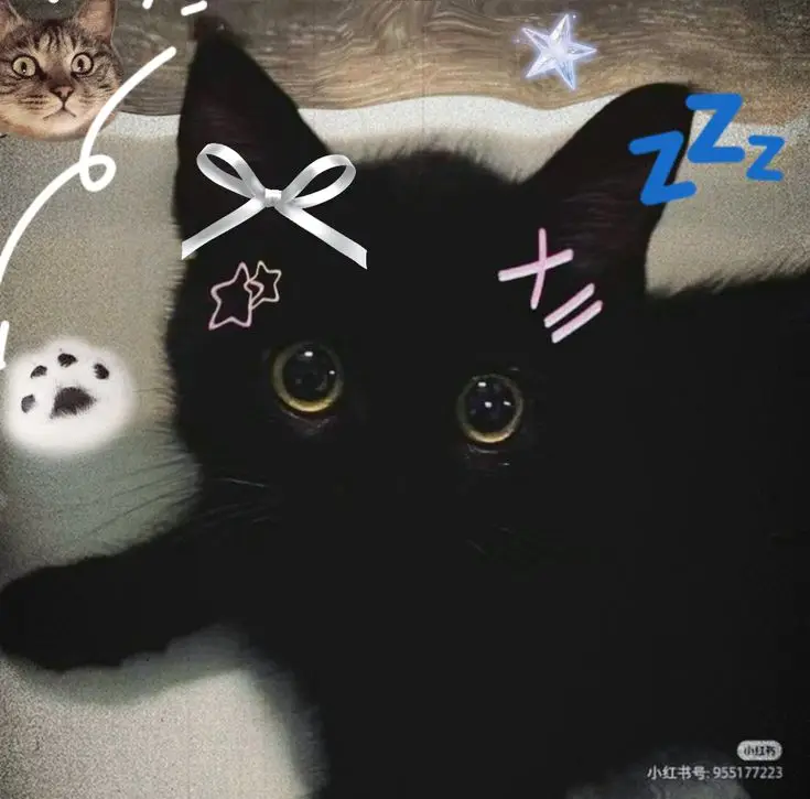 Hình nền đẹp cute ngầu có chữ – Sự kết hợp hoàn hảo giữa phong cách và thông điệp