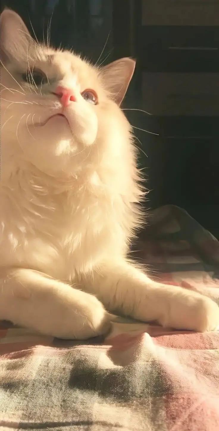 Hình nền đẹp nhất thế giới cute cho giới trẻ