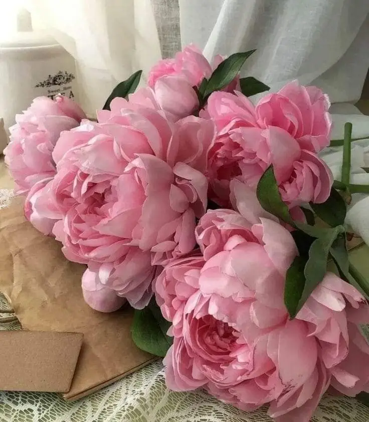 Khám phá hình nền hoa đẹp nhất thế giới