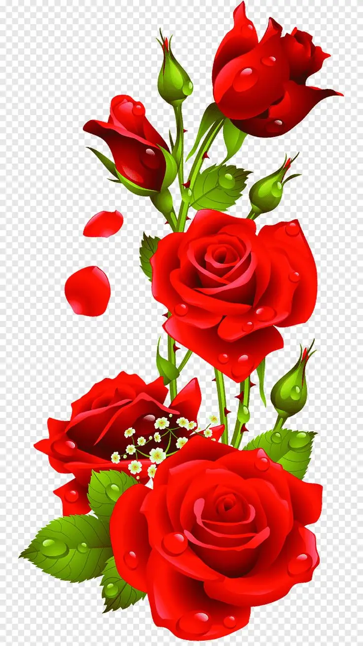 Hình nền hoa hồng đỏ lãng mạn