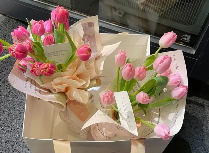 Hình nền hoa tulip đẹp và lãng mạn