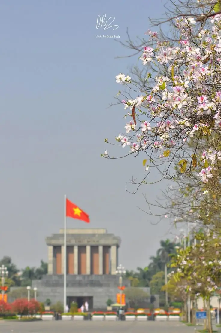 Hình nền lá cờ Việt Nam ý nghĩa