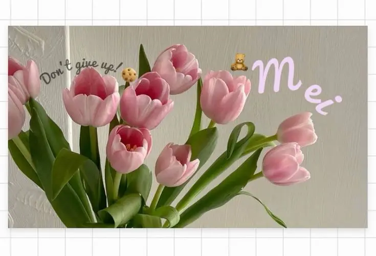 Sang trọng với hình nền màu cam cute độc đáo