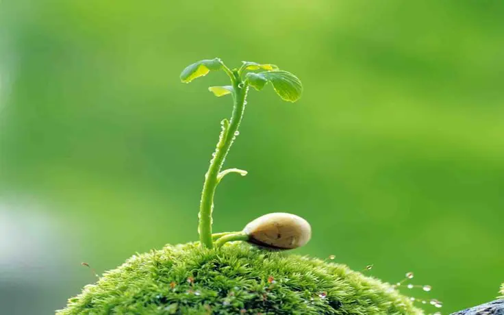 Hình Nền Máy Tính Đẹp 1366×768 – Tuyển Tập 100 Hình Ảnh Đẹp Nhất