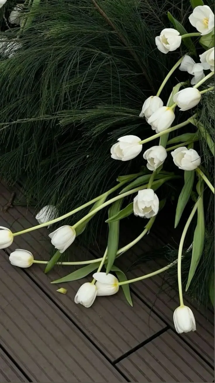 Hình Nền Máy Tính Hoa Mẫu Đơn Rực Rỡ