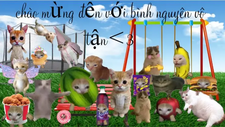 Hình nền máy tính mèo cute – Đắm chìm trong sự dễ thương của mèo