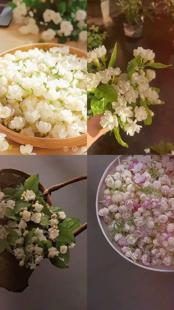 Hình nền thu hút tình duyên – Tạo sức hút cho cuộc sống tình cảm