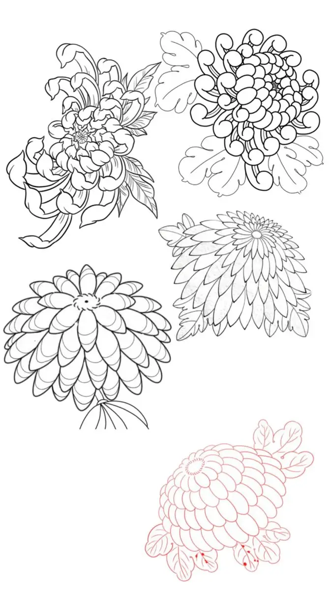 Hình Xăm Hoa Cúc Nhật Cổ Trắng Đen – Ý Nghĩa Và Hình Ảnh Đẹp