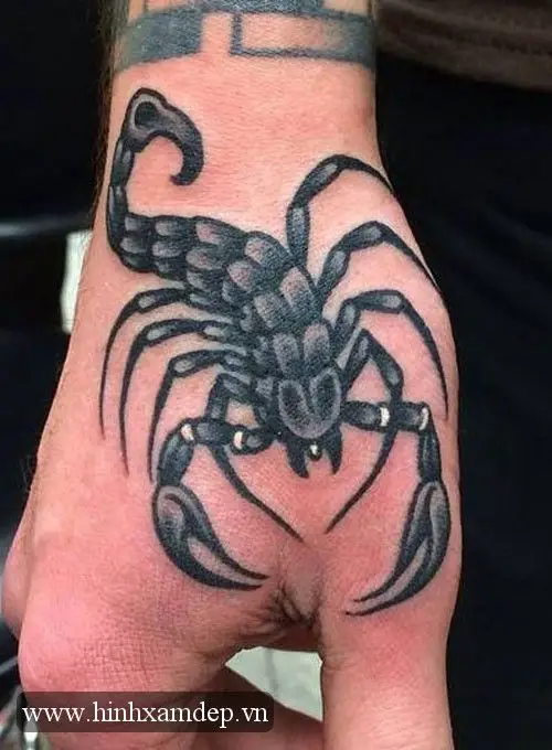 Hình Xăm Trên Tay Law: 50 Ý Tưởng Đẹp