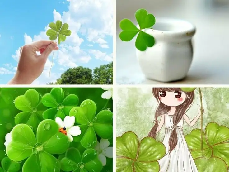 Tải Hình Nền 3D Cực Đẹp – Bộ Sưu Tập Đặc Biệt